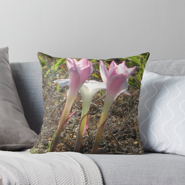 Item preview, Old and New, Rain Lilies designed and sold by Navigator.
