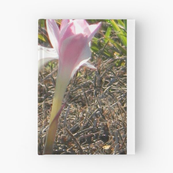 Item preview, Old and New, Rain Lilies designed and sold by Navigator.
