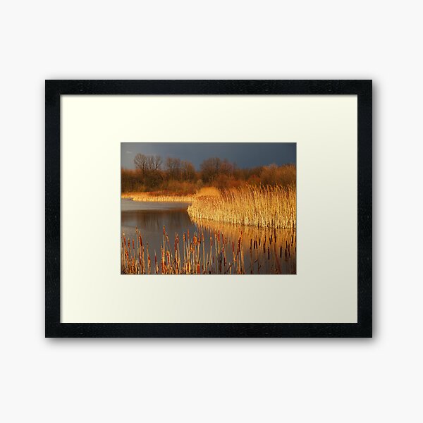 Quakertown Marsh Before a Storm Framed Art Print
