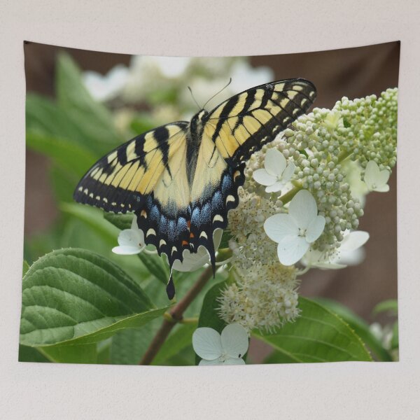 Item preview, Yellow Tiger Swallowtail by Elisabeth and Barry King™ designed and sold by BE2gether.