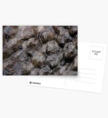 What is it! Solved by Chris75 Postcards