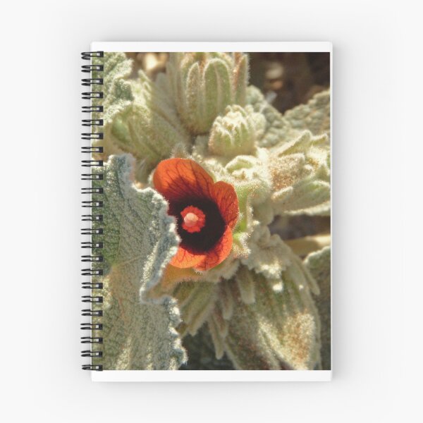 Item preview, Namibian Flower designed and sold by Margaret  Hyde.