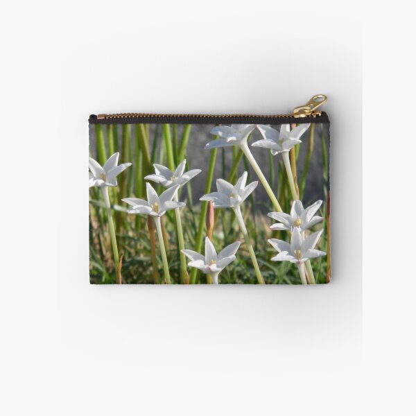Item preview, Median Rain Lilies designed and sold by Navigator.