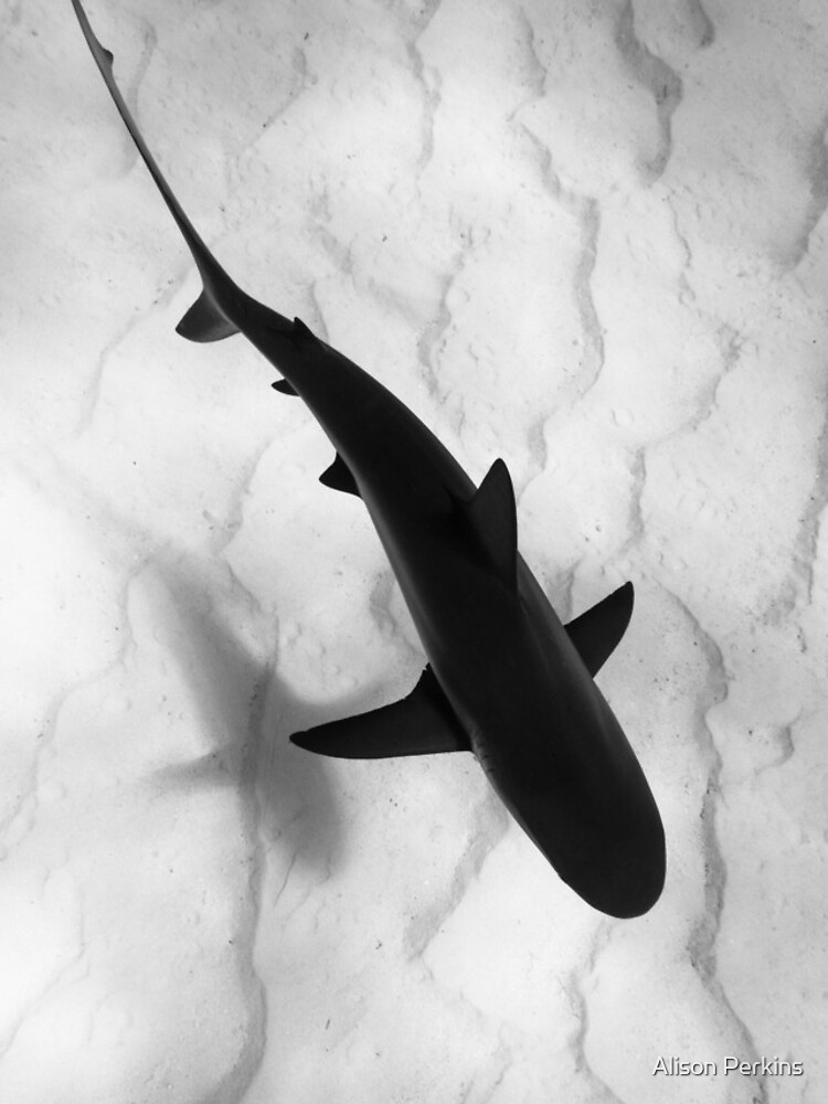 Shark in silhouette by AlisonPerkins