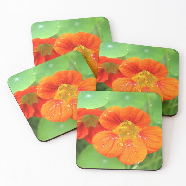 Item preview, Nasturtium Flowers designed and sold by pinkal.