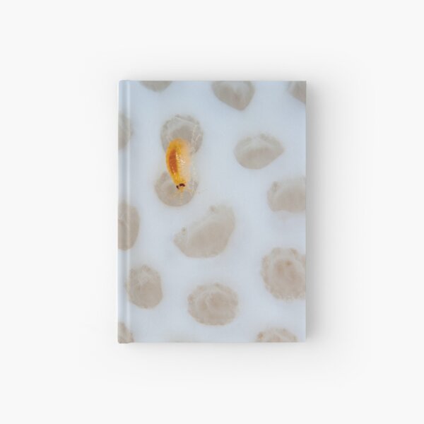 Walking on the moon Hardcover Journal