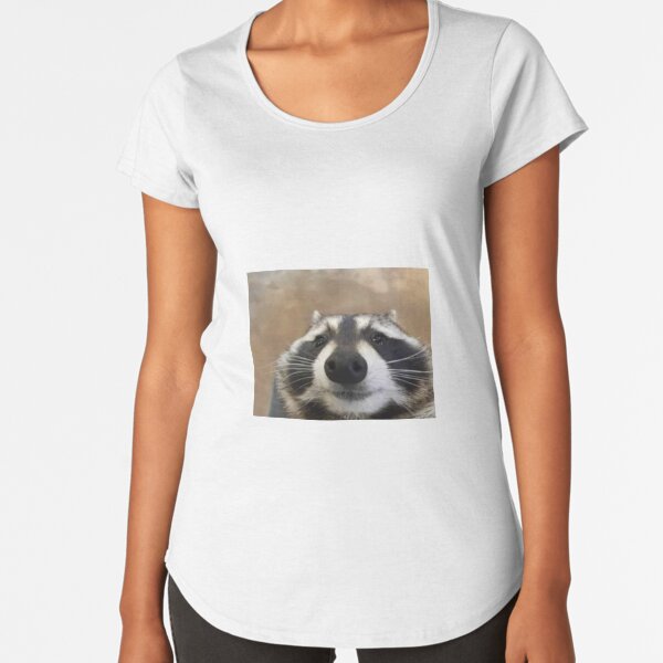 Item preview, big raccoon designed and sold by papa-zoinks.