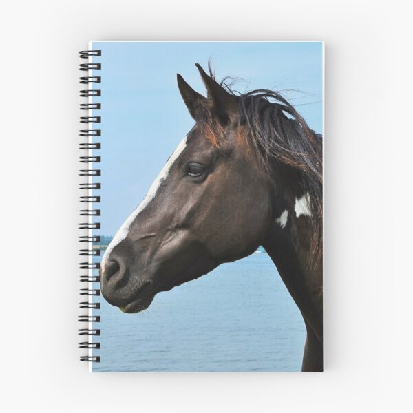 Item preview, Horse photography designed and sold by pedroserpa.