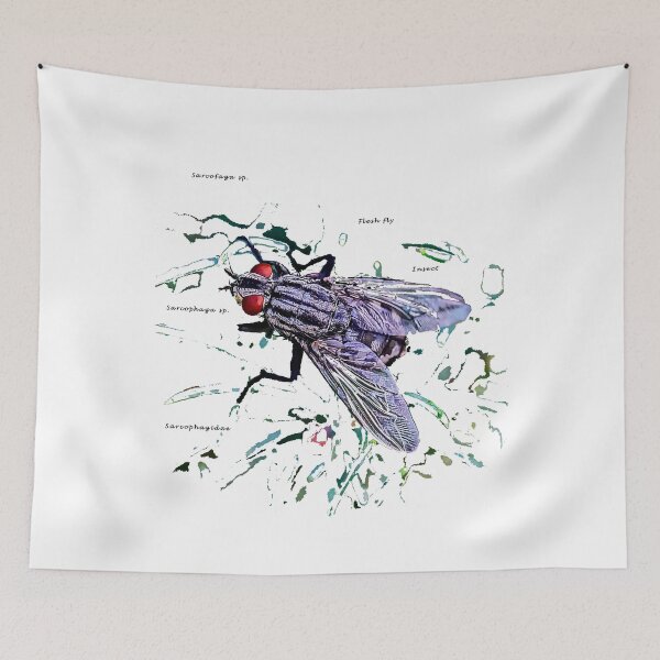Item preview, Funny Insects Entomology Gifts - Cute Flesh Fly Modern Portrait designed and sold by r-silver.