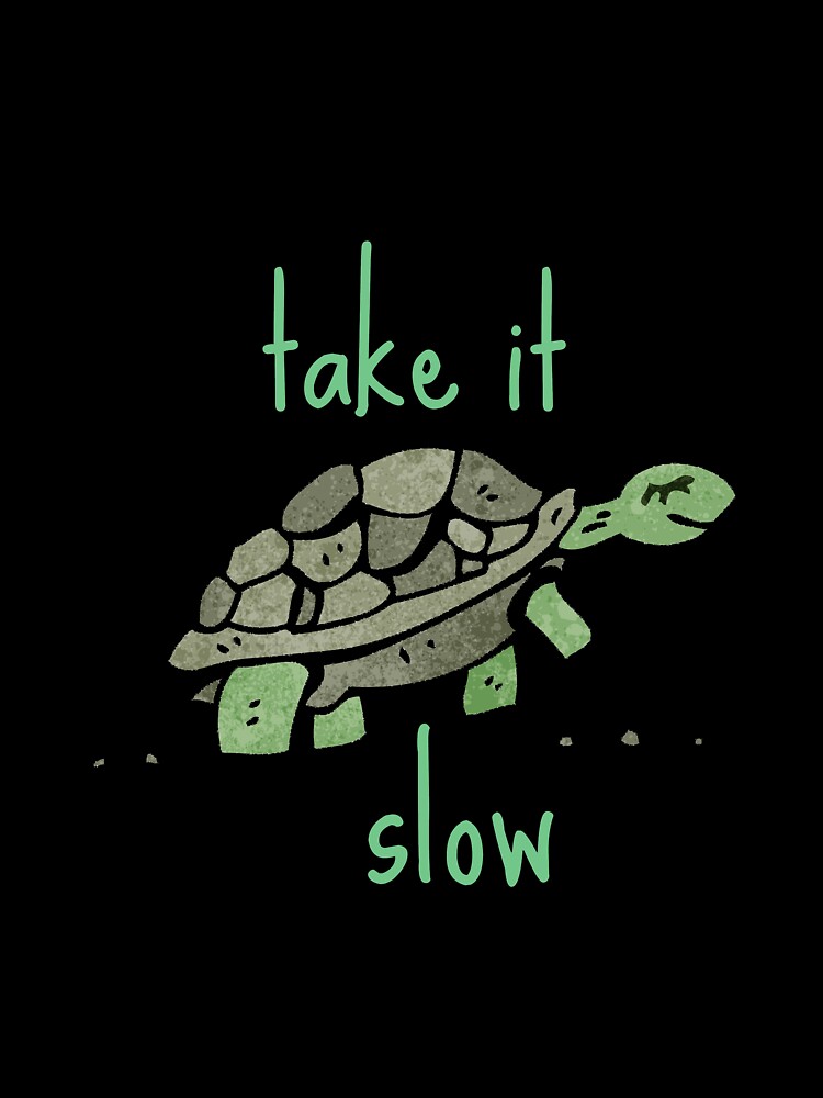 Take It Slow Retro Turtle Graphic T-Shirt | Cool Mindfulness T-Shirt Triblend Kelly / Small