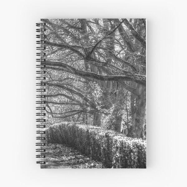 Item preview, Sleepy Hollow Autumn designed and sold by Londonimages.