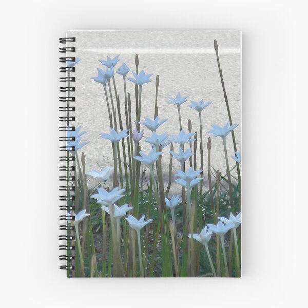 Item preview, Median Flowers - Rain Lilies, Shade designed and sold by Navigator.
