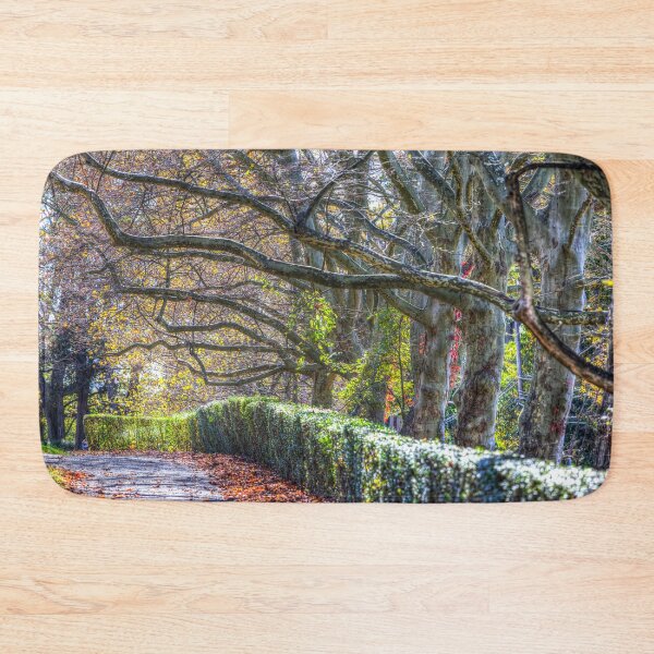 Item preview, Sleepy Hollow In Autumn designed and sold by Londonimages.