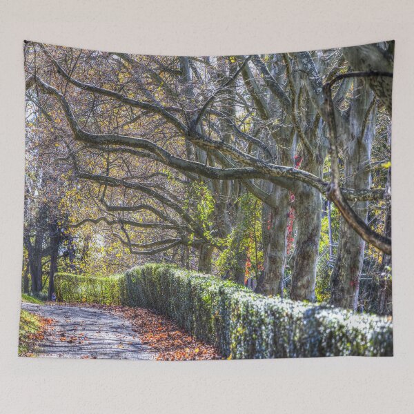 Item preview, Sleepy Hollow In Autumn designed and sold by Londonimages.