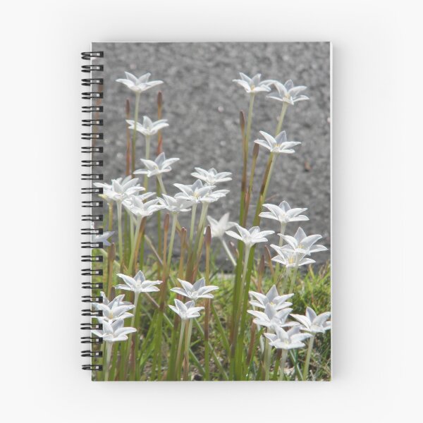 Item preview, In the Median, Rain Lilies, Light designed and sold by Navigator.