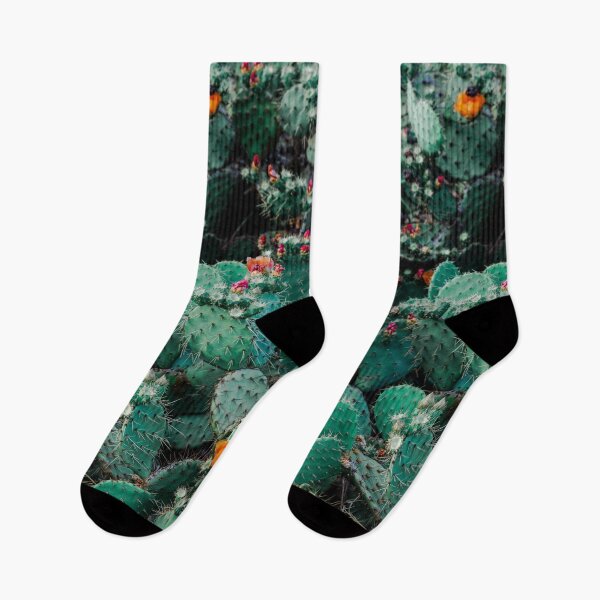 Item preview, Flowering Cacti designed and sold by emilysmithart.