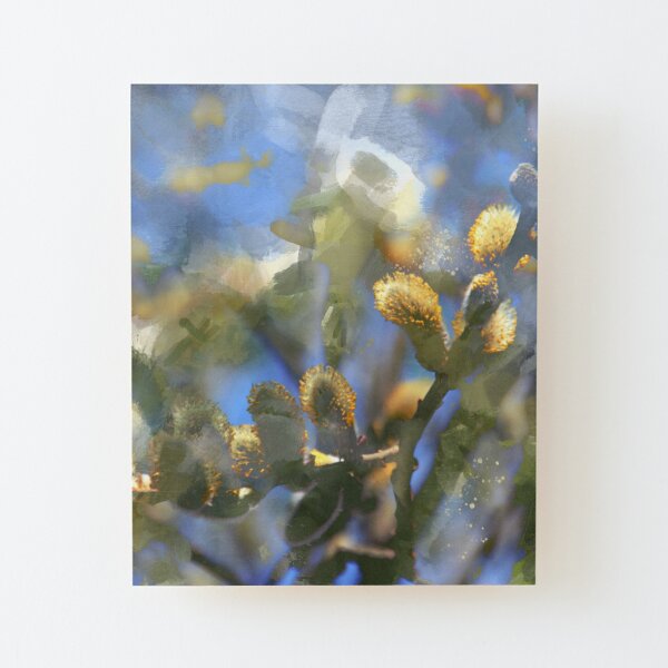 Springtime willow branch Wood Mounted Print
