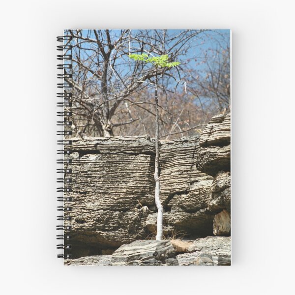 Item preview, Struggling Tree, Namibia designed and sold by Carole-Anne.
