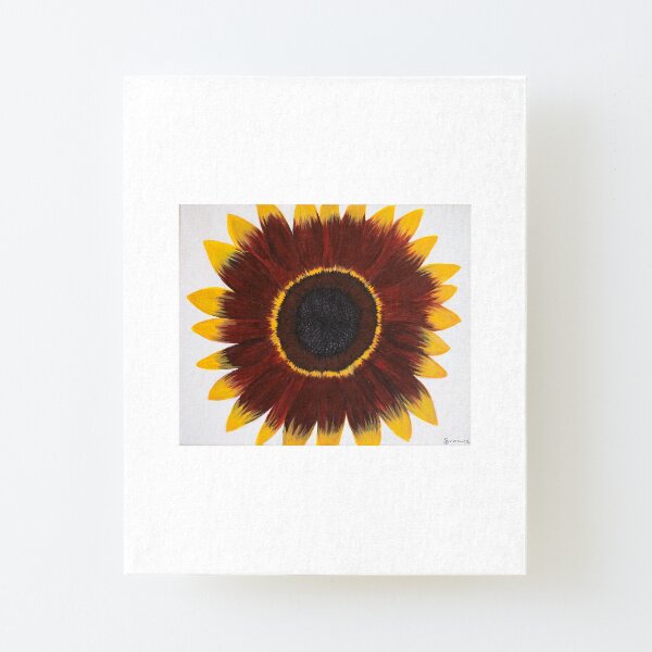 Sunflower Power #2 Canvas Mounted Print