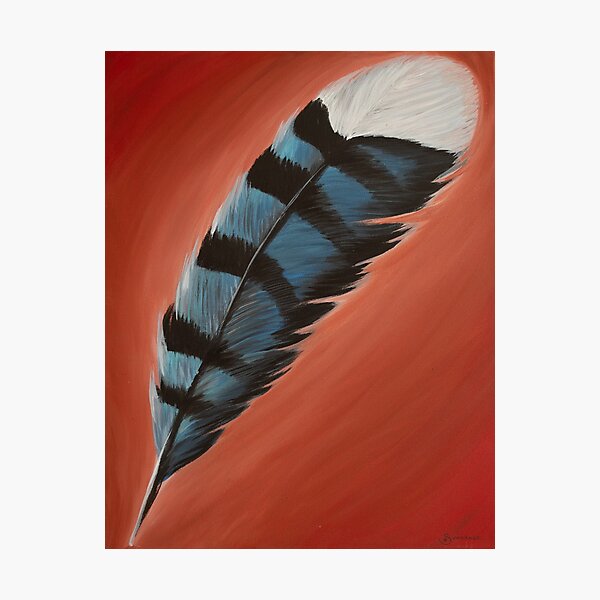 Blue Jay Feather #1 Photographic Print