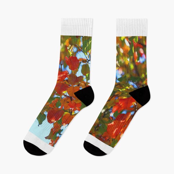 Item preview, Color of Joy designed and sold by Brenda Burnett.