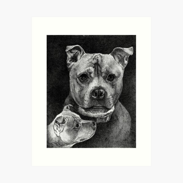 TUGG// american staffordshire terrier Art Print