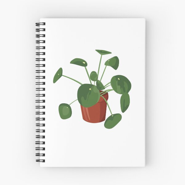 Item preview, Green Pilea Plant in Terra Cotta Pot designed and sold by elmma design.