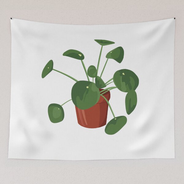 Item preview, Green Pilea Plant in Terra Cotta Pot designed and sold by elmma design.