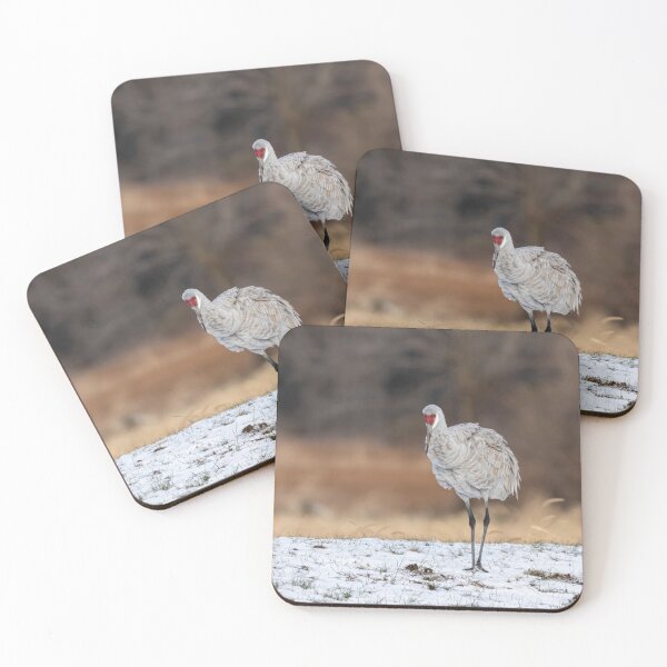 Item preview, Sandhill Crane 2019-7 designed and sold by Thomasyoung.