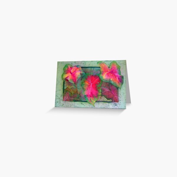 Caladiums 4 Greeting Card