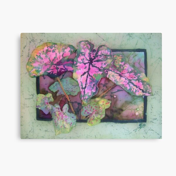 Caladiums 5 Canvas Print