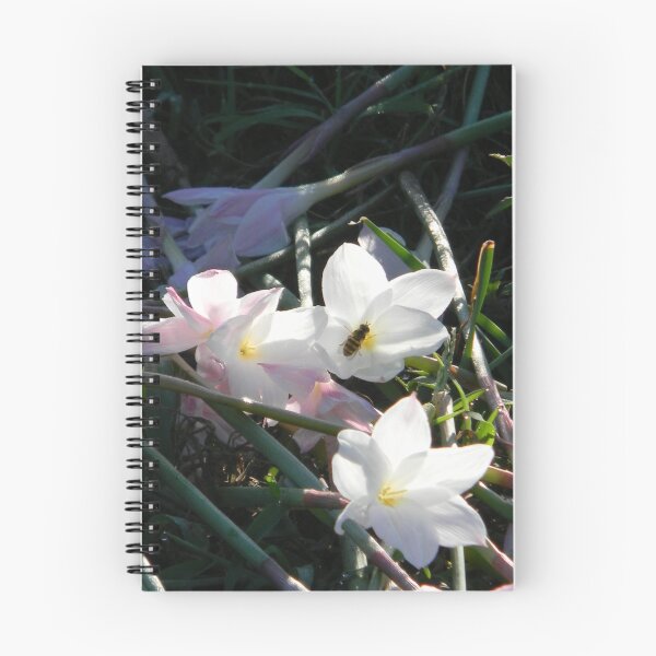Item preview, Broken Flowers, Vandalism designed and sold by Navigator.