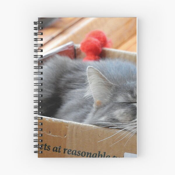 Item preview, Snoozing Cat designed and sold by HilaryFran.