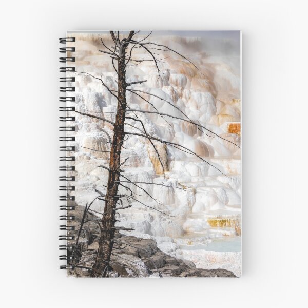 Item preview, Canary Spring - Yellowstone National Park designed and sold by Stephen Stookey.