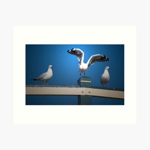 Item preview, Seagulls designed and sold by sharon2121.
