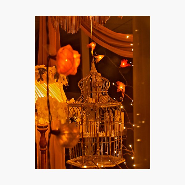 Item preview, The Bird Cage designed and sold by browna.