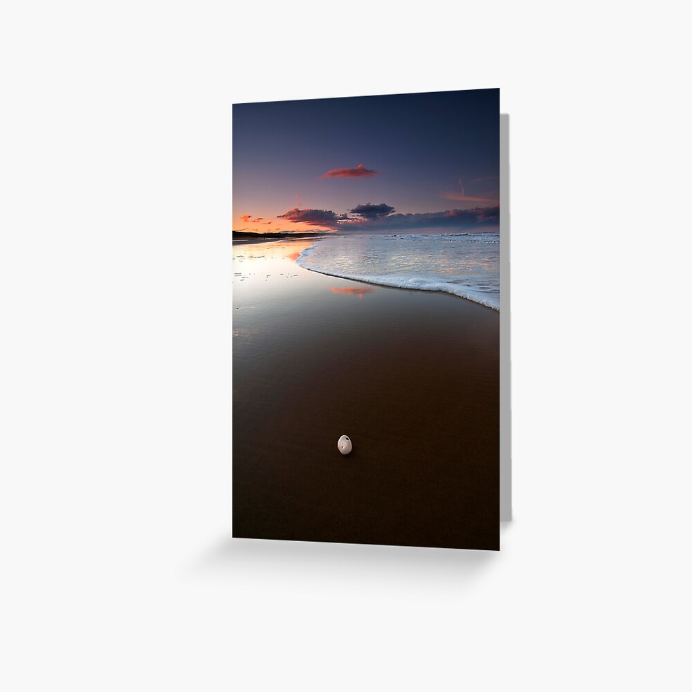 Item preview, Greeting Card designed and sold by tontoshorse.