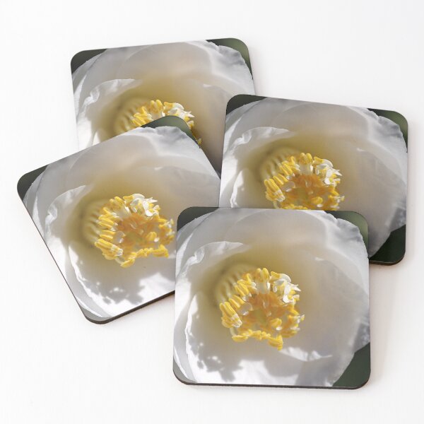 Item preview, Camellia's Style designed and sold by Joy Watson - Natural Light Photography .