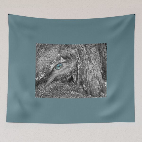 Item preview, Even The Trees See designed and sold by CarolM.