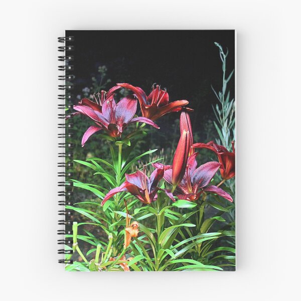Item preview, Red Lilies designed and sold by Alexis Garnier.