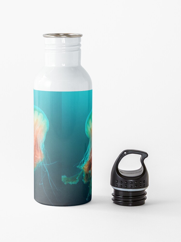 Alternate view of Egg Yolk Jelly, 1999 Water Bottle