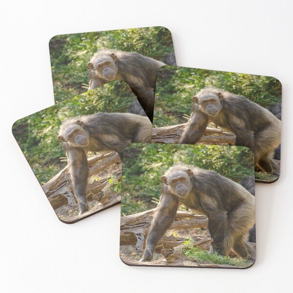 Item preview, curious designed and sold by gwen wooten.