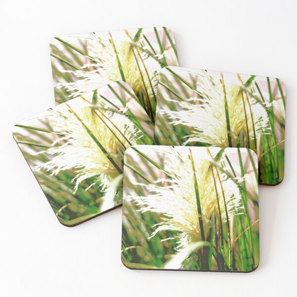 Item preview, Pampas Grass Plant designed and sold by Asiantiger247.