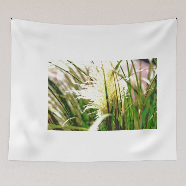 Item preview, Pampas Grass Plant designed and sold by Asiantiger247.
