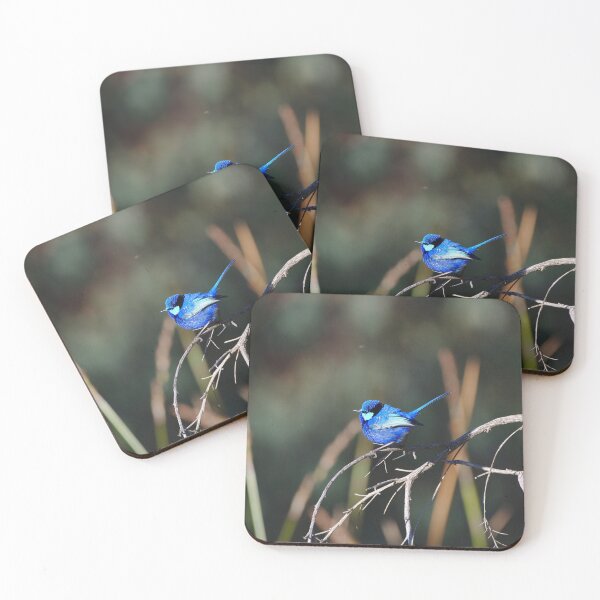 Item preview, A Cute Bird Splendid Fairy Wren In Breeding Plumage designed and sold by Jason Gilbert.