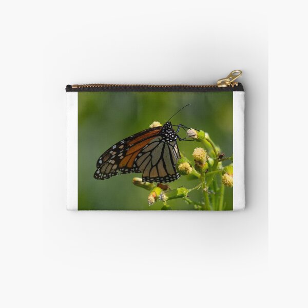 Item preview, Monarch designed and sold by suburbanwilds.