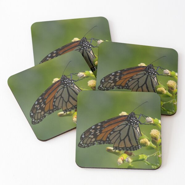 Item preview, Monarch designed and sold by suburbanwilds.