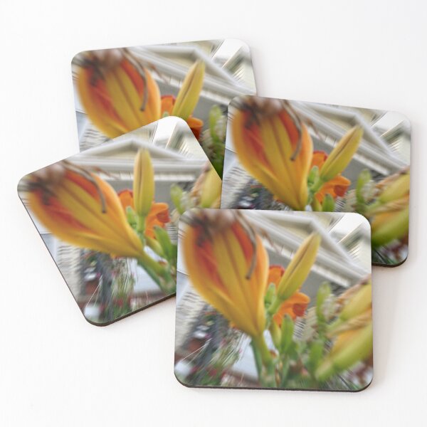 Item preview, Wild to Bloom designed and sold by Cynthia De Moss aka Dutchess333.