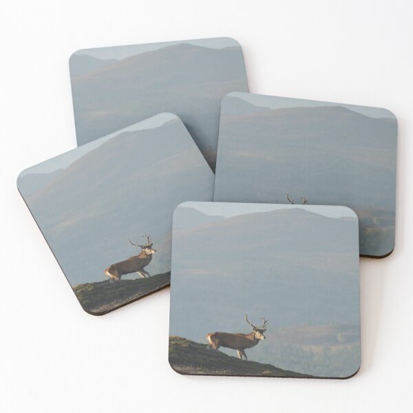 Item preview, Royal Stag in the Highlands designed and sold by Macrae images.