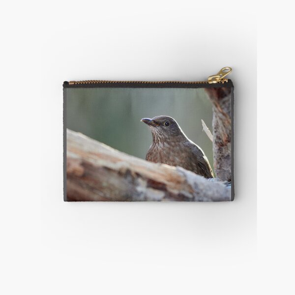 Item preview, Hide and seek. Eurasian blackbird designed and sold by Jouko Lehto Photography.
